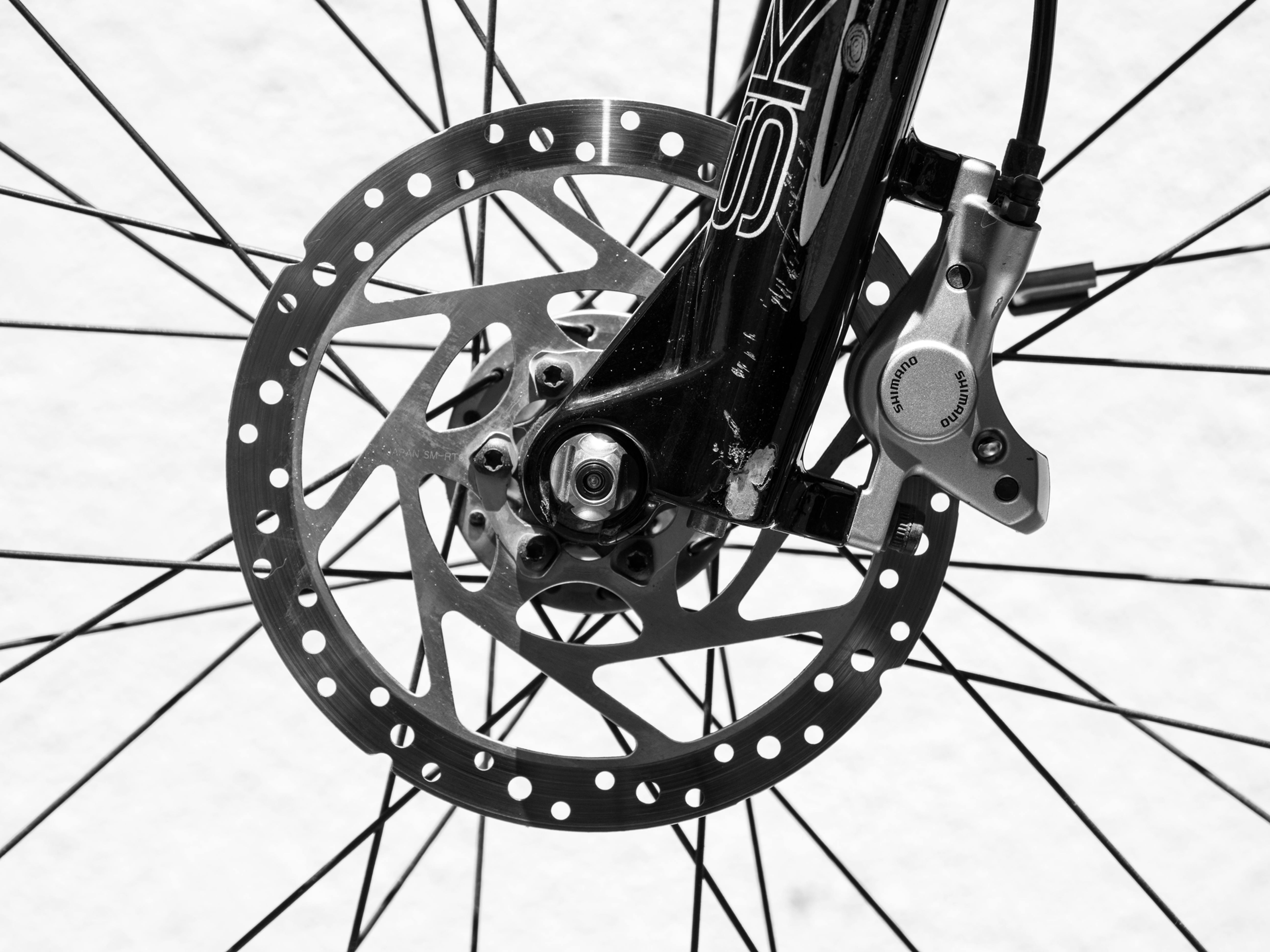 Close-up of Shimano disc brake on bicycle wheel