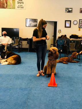 photo may 24 2023, 8 00 13 am.jpg