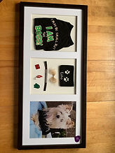 IMG-20230819-WA0113.jpg