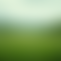 Explore Carlton County Land Listings: Your Guide to Land Opportunities in Carlton County MN