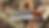 Thumbnail: Camp Chef Folded Steel With Sheath