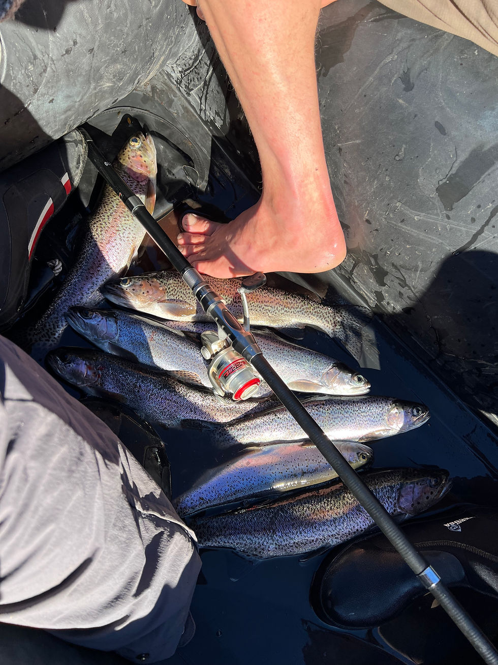 Thumbnail: Collapsible Fishing Pole With Reel