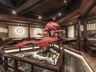 Japanese Modern Restaurant