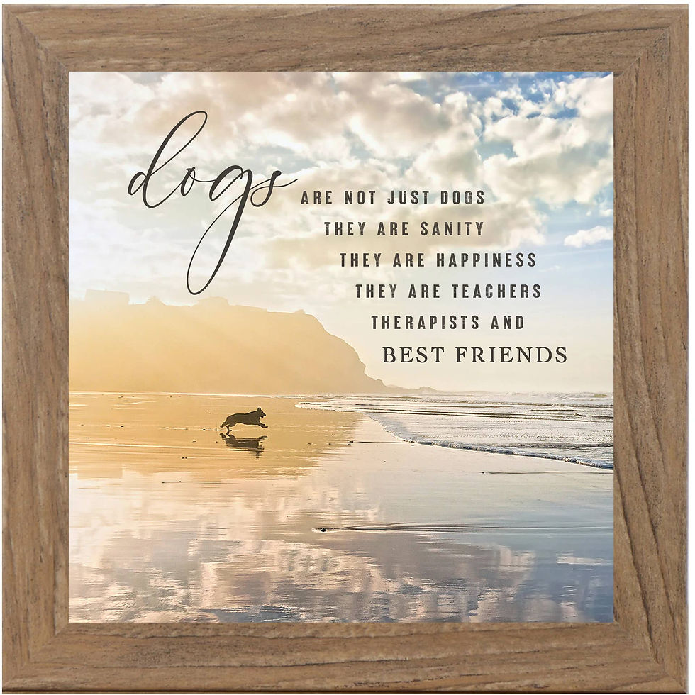 Thumbnail: Dogs are Sanity Happiness Teachers Best Friends Art Sign: Farmtable Frame, 14x1