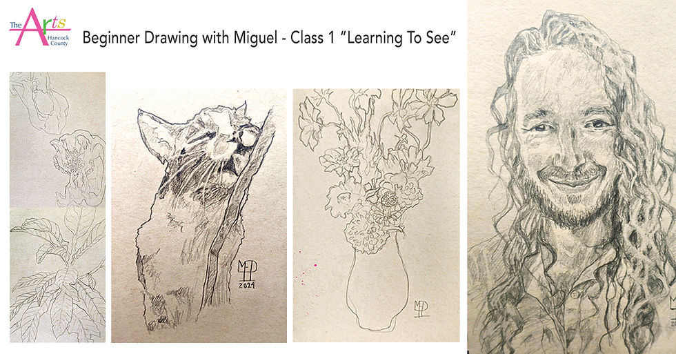 Beginner Drawing - Learning To See! ✨🎨