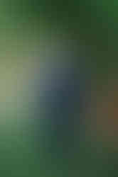 groom's portrait in blue suit