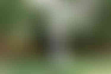 Wedding first look at Danversport Wedding