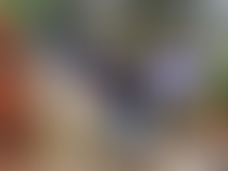 Visita del Colegio Xabier de Portugalete