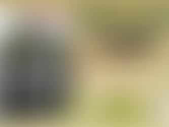 El Cinturón de Hierro. Historia completa de las defensas de Bilbao