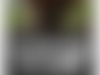 EL CINTURÓN DE HIERRO. AYER Y HOY