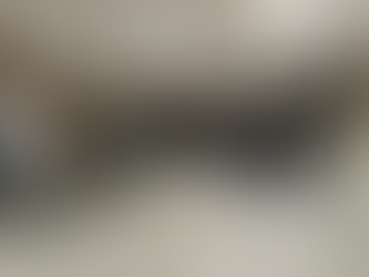 Visita del IES Uribe-Kosta