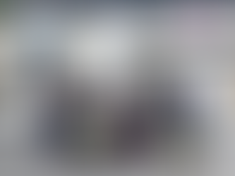 Visita del proyecto “Tierra quemada: rutas por el Cinturón de Hierro de Bizkaia”