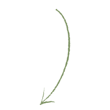 Untitled design (46).png