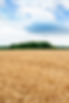 Arces-Dilo-HD-37.jpg