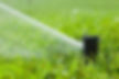 Rainbird 5004