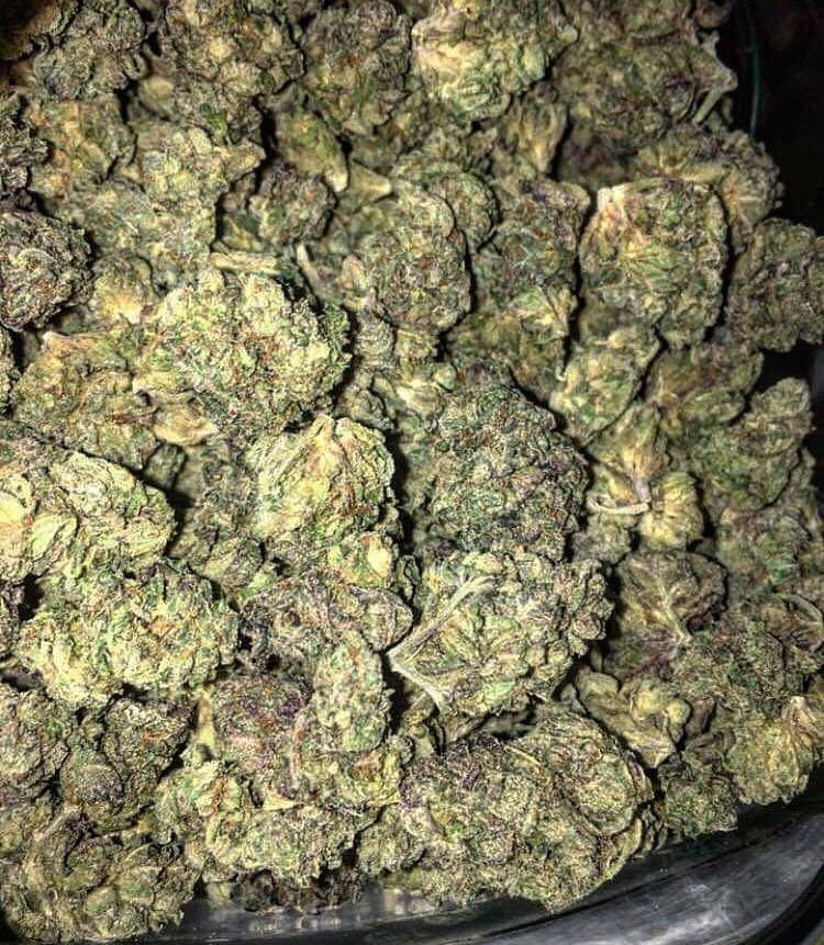 American Strain