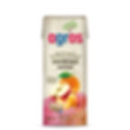 Χυμός νέκταρ 27x250ml