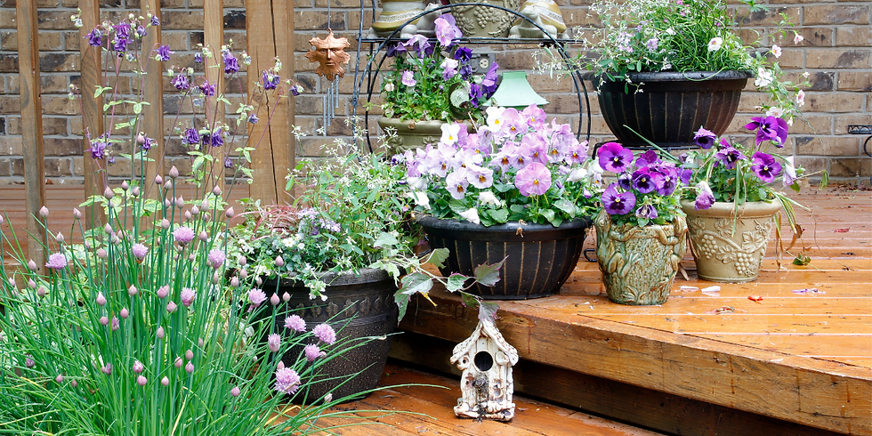 container gardening