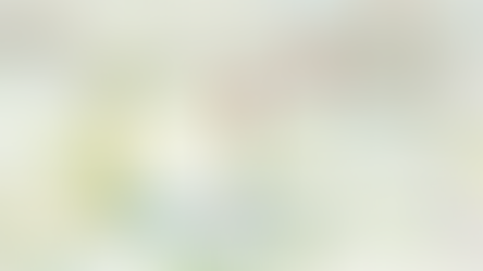 Local SEO for Multi-County Service Areas: Key Strategies