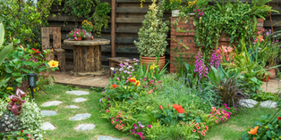 Top Perennial Flowers for Pennsylvania Gardens: From Spring to Fall