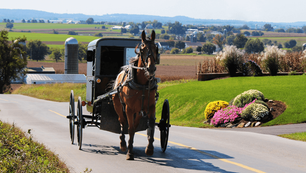 SEO for Tourism-Focused Businesses in the Poconos & PA Dutch Country