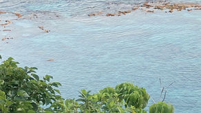 久しぶりの沖縄でのお仕事！