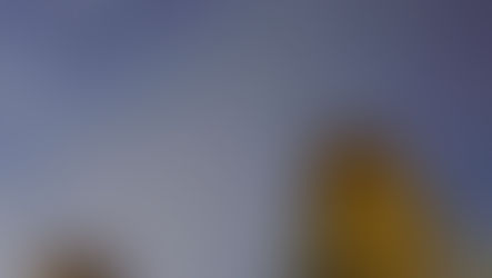 Lost Beasts Unearthed