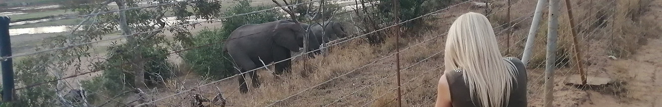 Scenic view from Marloth Park’s fence overlooking the vast wilderness of Kruger National Park