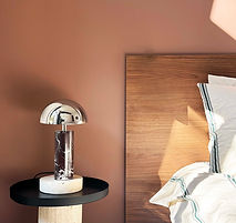 ADEI L rouge BACCARIS home page.jpg