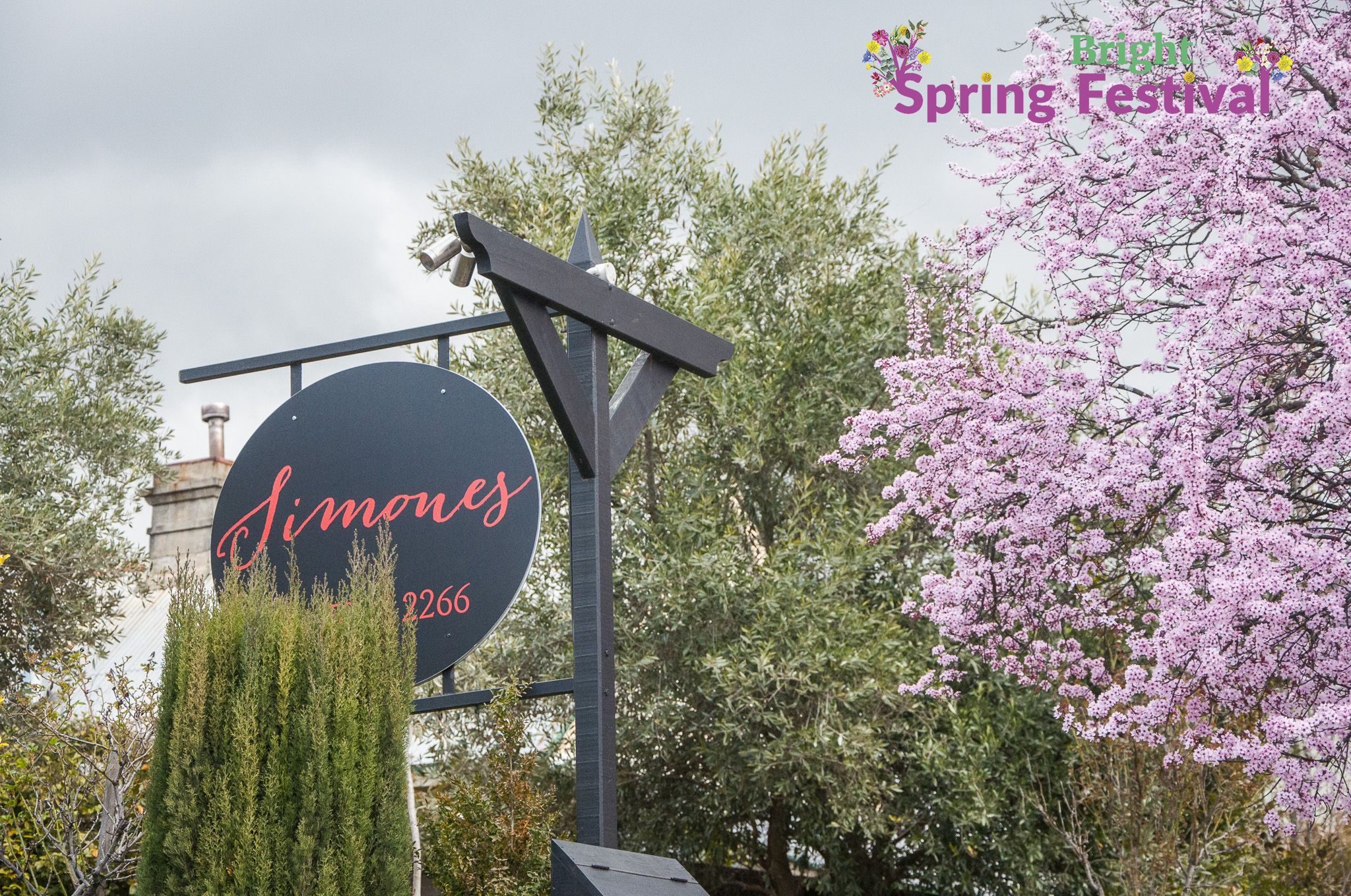 Brigh Spring Festival 1509 - 012