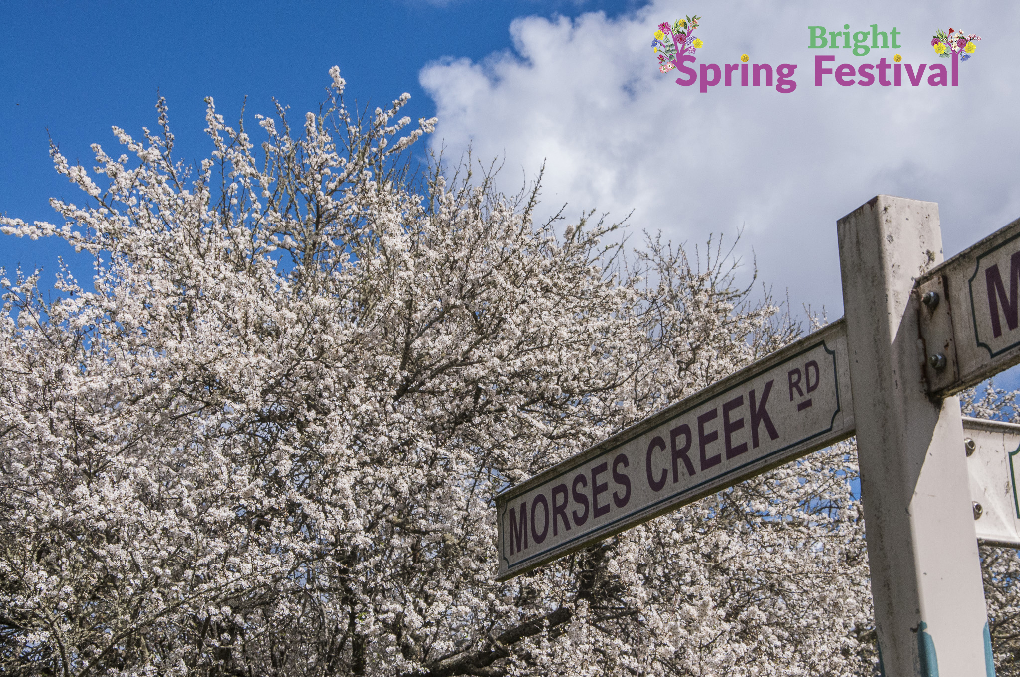 Brigh Spring Festival - 059