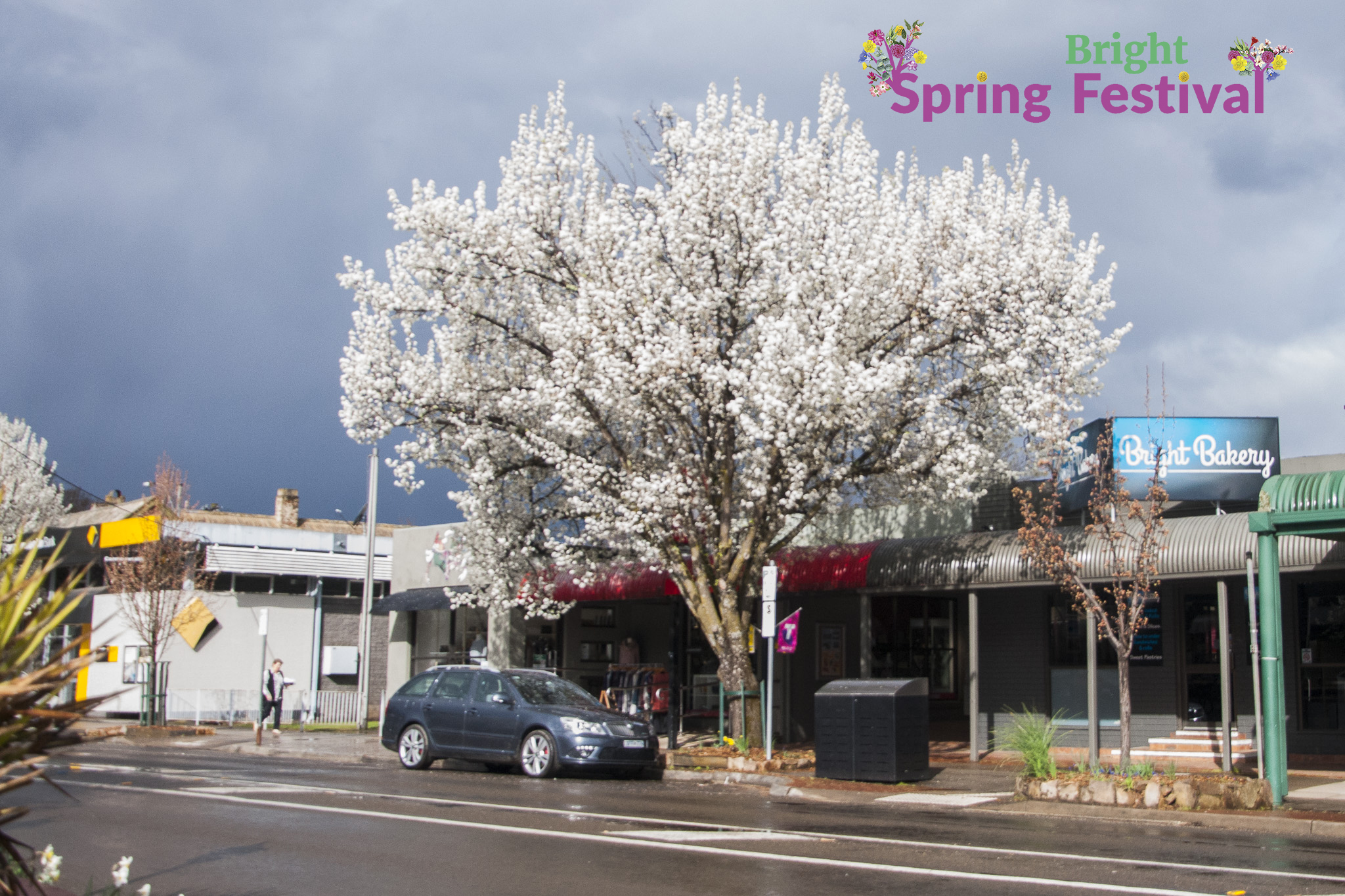Brigh Spring Festival 1609 - 015