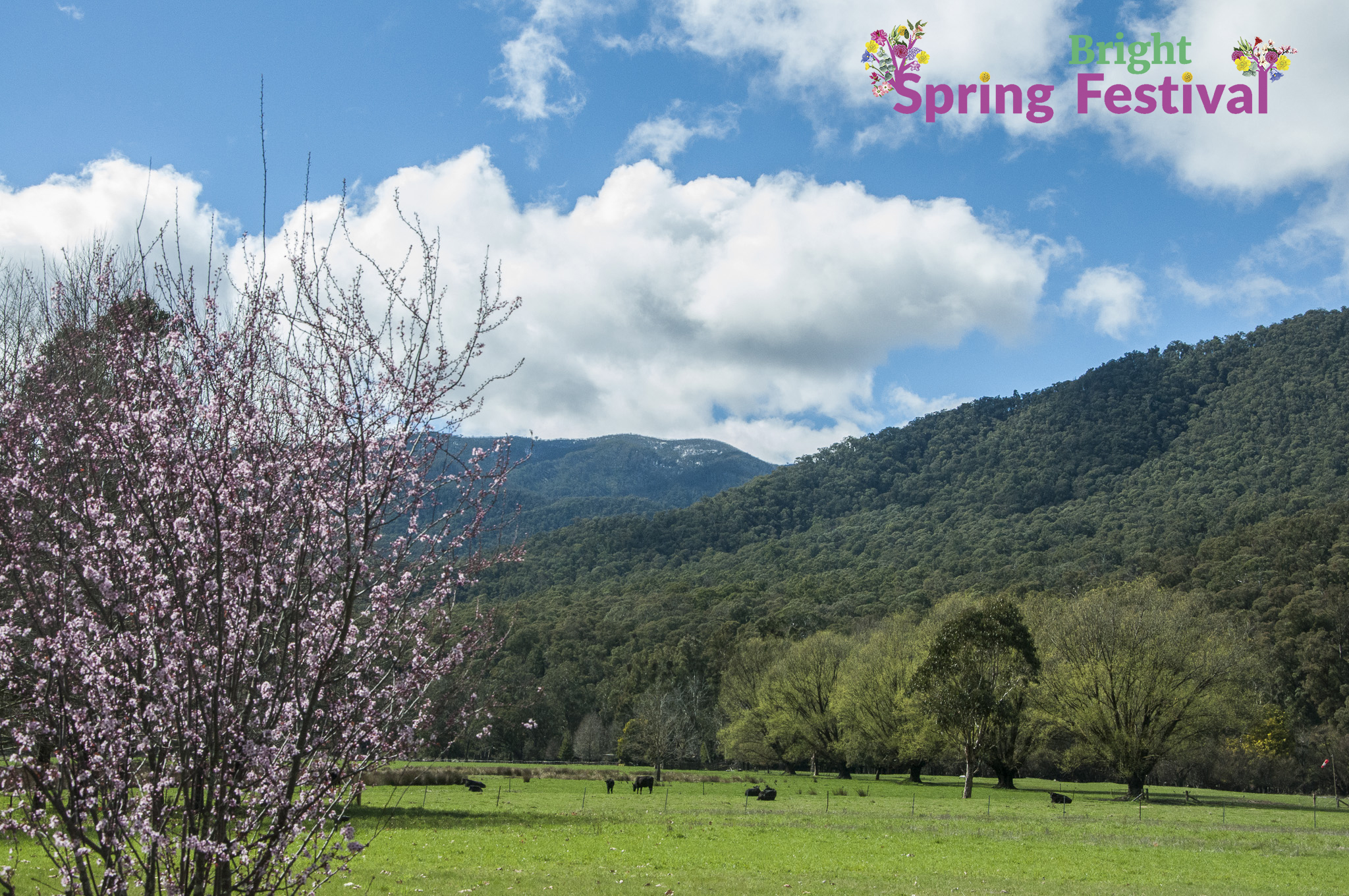 Brigh Spring Festival - 047