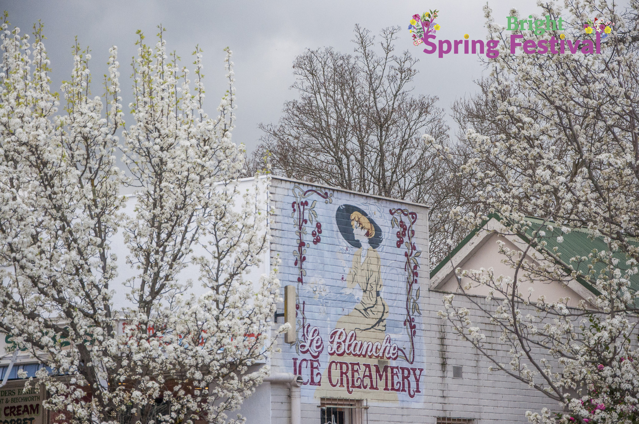 Brigh Spring Festival 1609 - 013