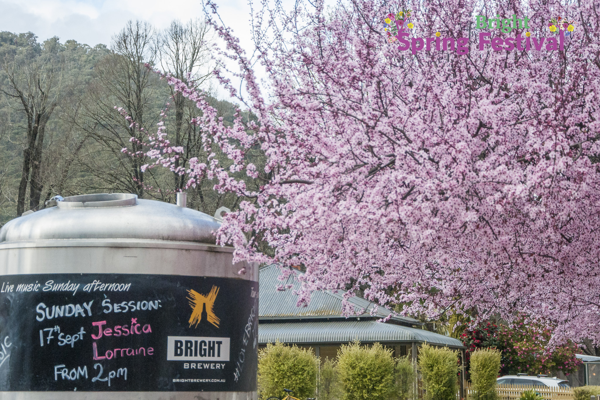 Brigh Spring Festival 1509 - 011