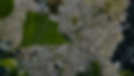 ChatGPT Image May 19, 2026, 02_23_48 PM_edited.jpg
