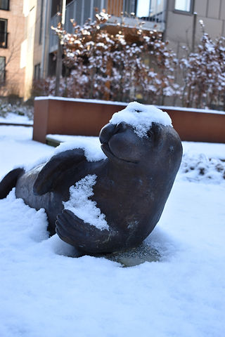 DSC_0242.jpg