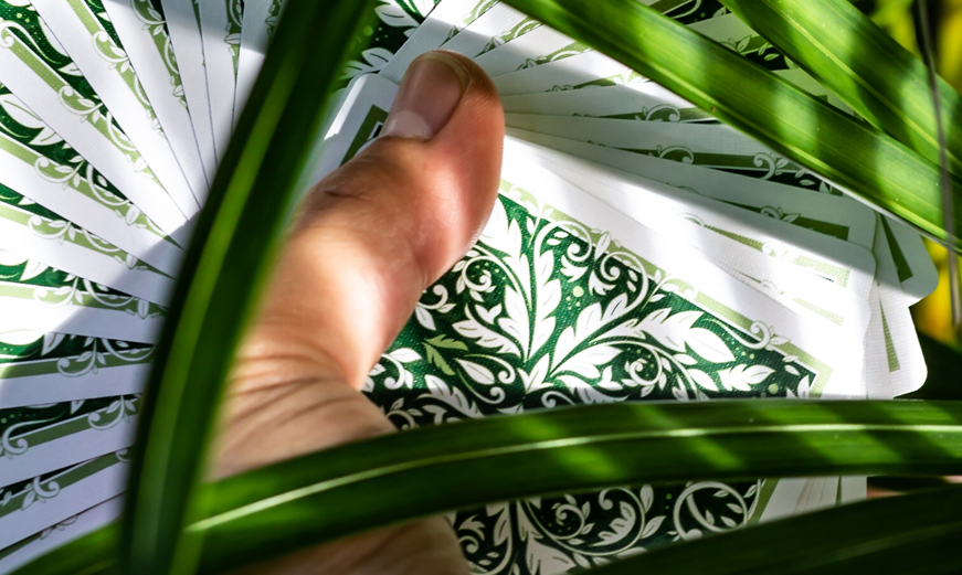 Leaves Playing Cards - Spring White | Dutch Card House Company