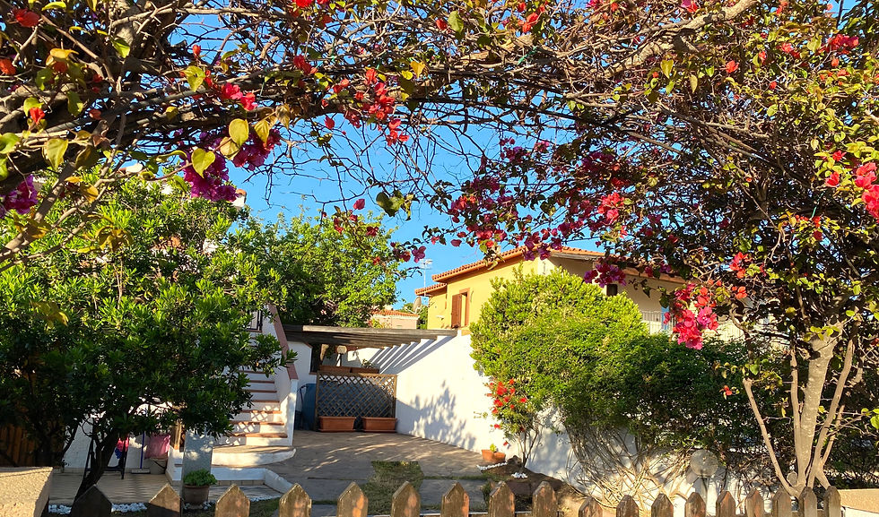 BougainVilla2