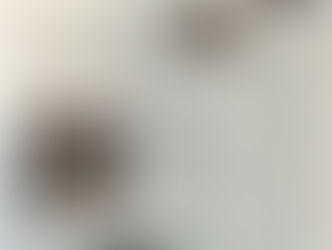 Notre société de nettoyage mise à l'honneur !