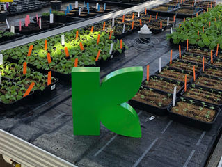 Sale of AGS Business to Klasmann-Deilmann