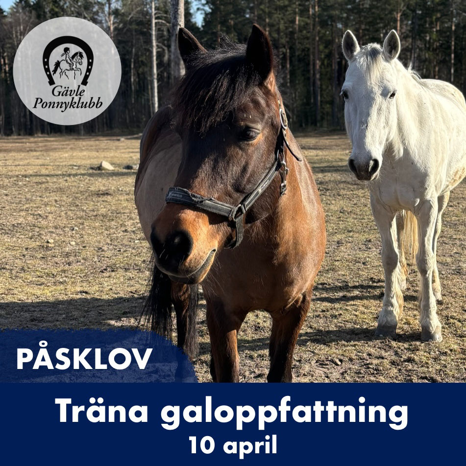 PÅSKLOV 2026: Träna galoppfattning