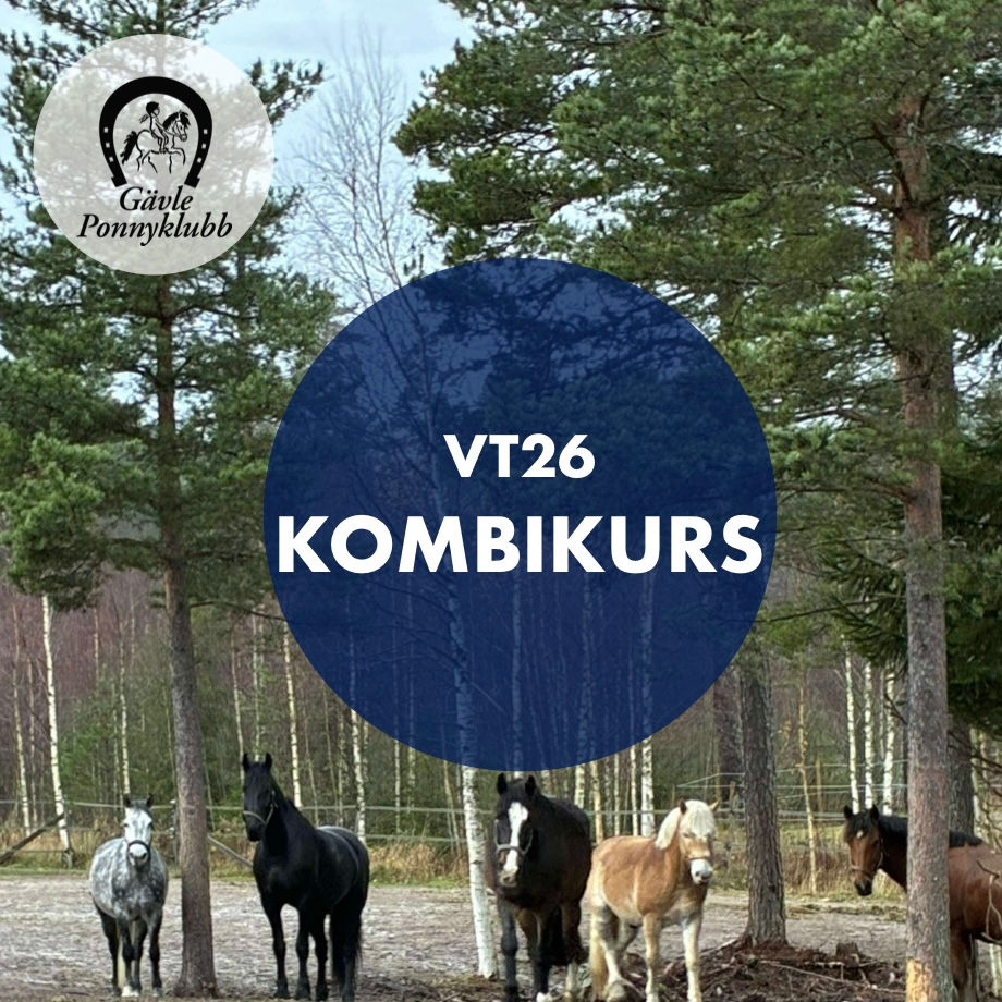 Kombikurs VT26