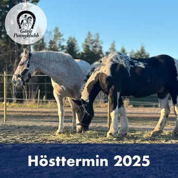 Inför höstterminen 2025