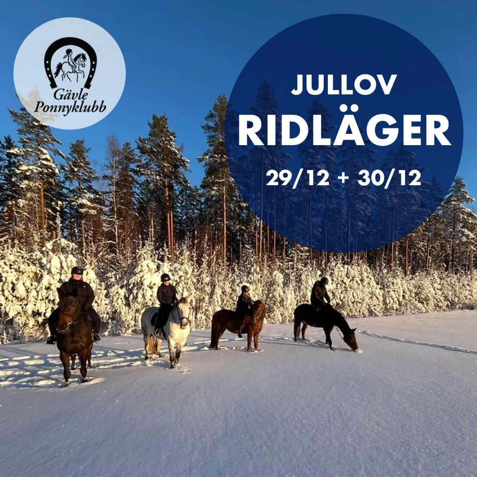 Jullov - Ridläger