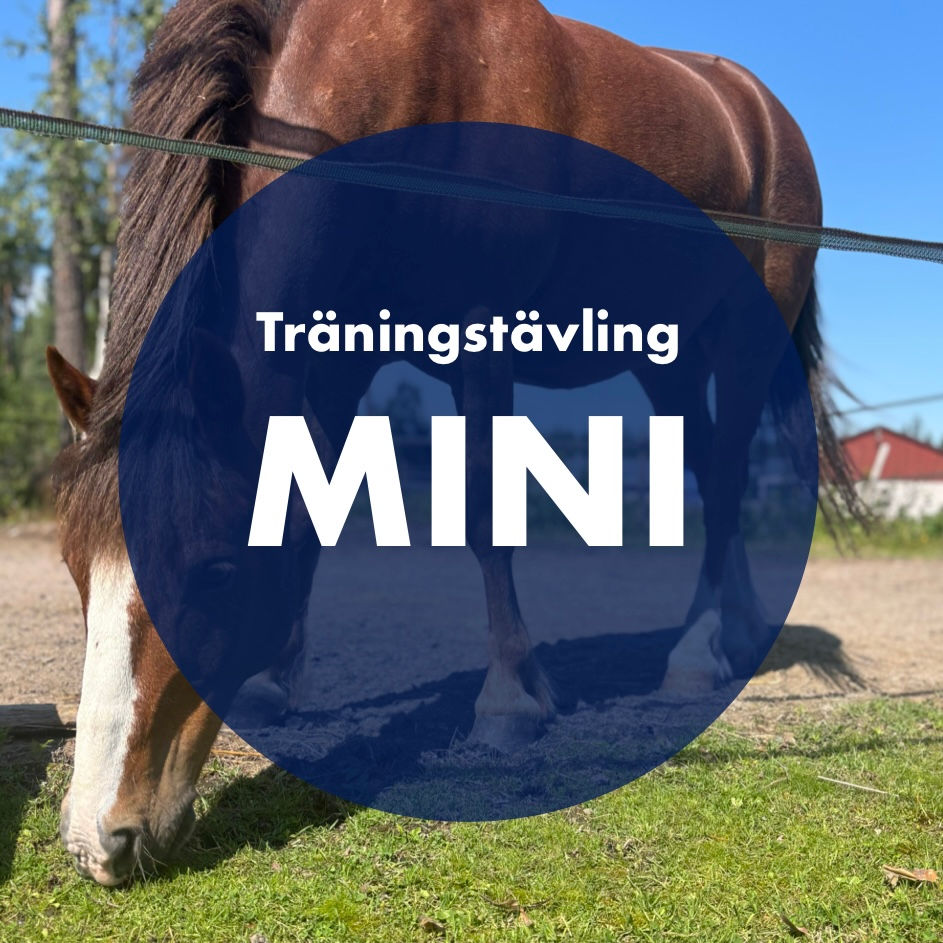 Träningstävling i hoppning - Mini 