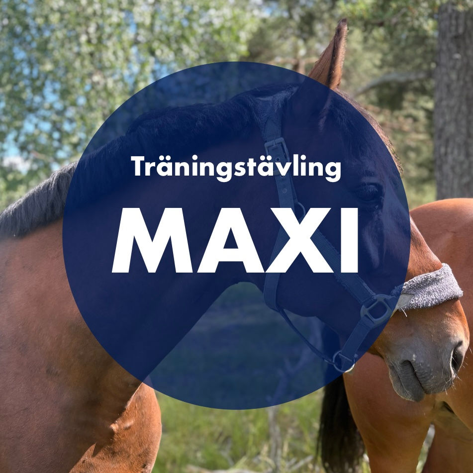 Träningstävling i hoppning - Maxi