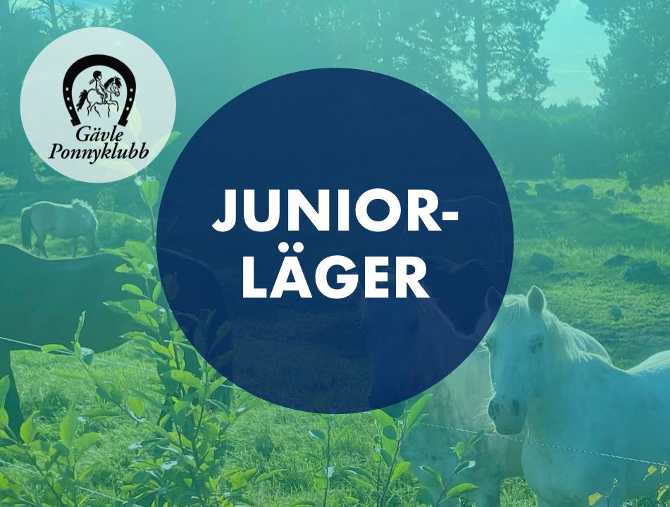 Sommar 2026: Ridläger 2A Juniorläger Juni