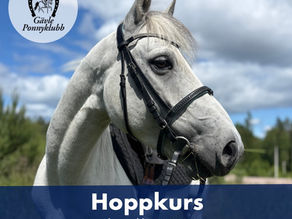 Hoppkurs – för dig som är i början på din ridkarriär
