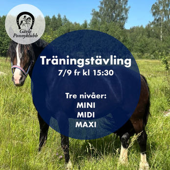 Träningstävling i hoppning